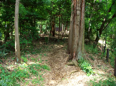 b0123486_18164620.jpg