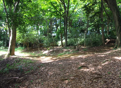 b0123486_1820833.jpg