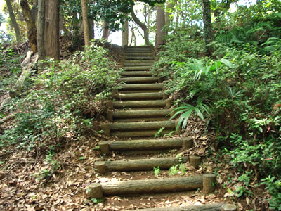 b0123486_18325660.jpg