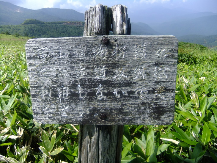 f0063791_06831.jpg