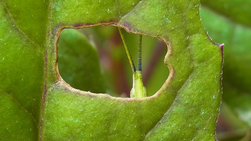 a0152692_17592391.jpg