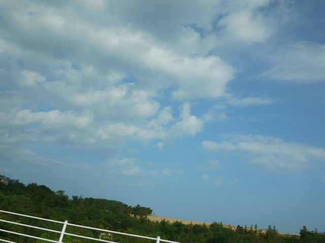 b0190092_22394119.jpg