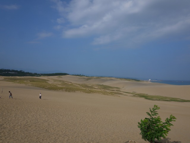 b0190092_22402894.jpg