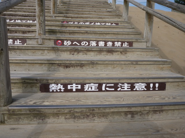 b0190092_2240291.jpg