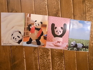 松岡文個展、似顔絵up。常設の作家新着続々!_d0322493_1915663.jpg