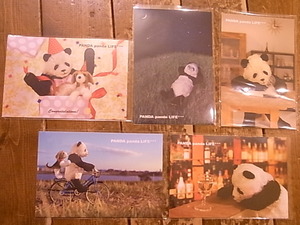 松岡文個展、似顔絵up。常設の作家新着続々!_d0322493_191569.jpg