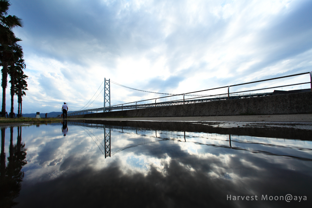 二重大橋_b0208495_2036117.jpg