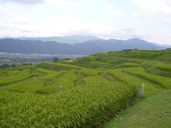 c0115697_1251166.jpg