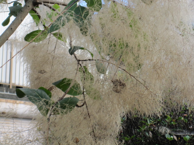 a0145798_20135167.jpg