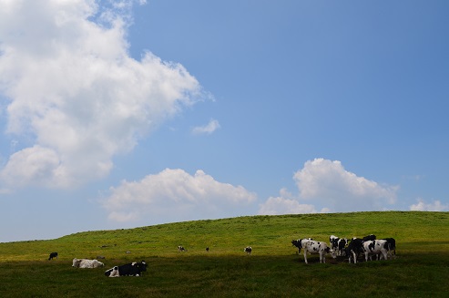 a0275900_8224647.jpg