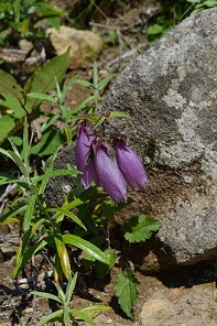 a0275900_8251812.jpg