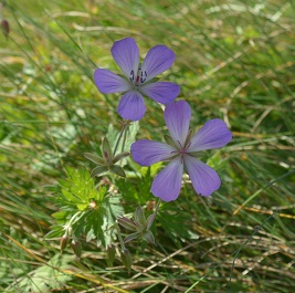 a0275900_8263235.jpg