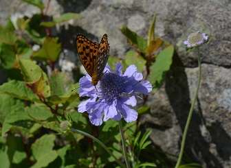 a0275900_8293171.jpg