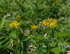 a0275900_8314240.jpg