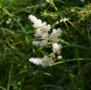 a0275900_8315848.jpg