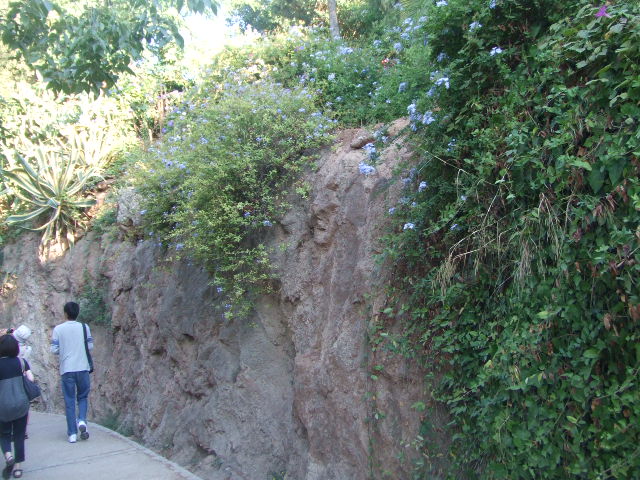 f0076001_5224754.jpg