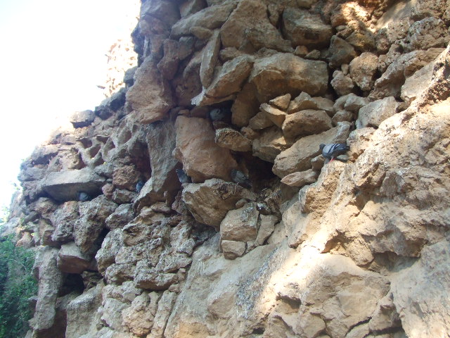 f0076001_5231854.jpg