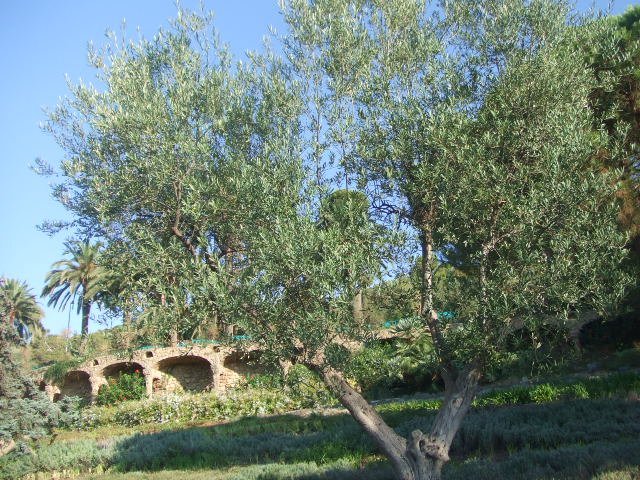 f0076001_5254685.jpg