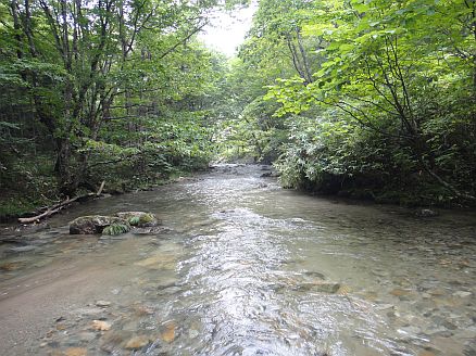 b0172805_9355847.jpg