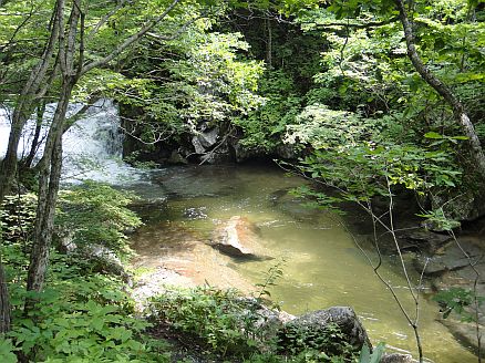 b0172805_9364978.jpg