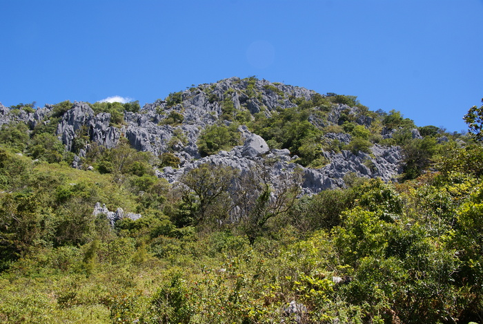 a0162707_16403.jpg