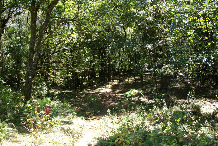 a0162707_16431.jpg