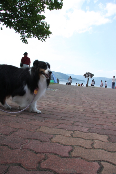 e0130008_10391438.jpg