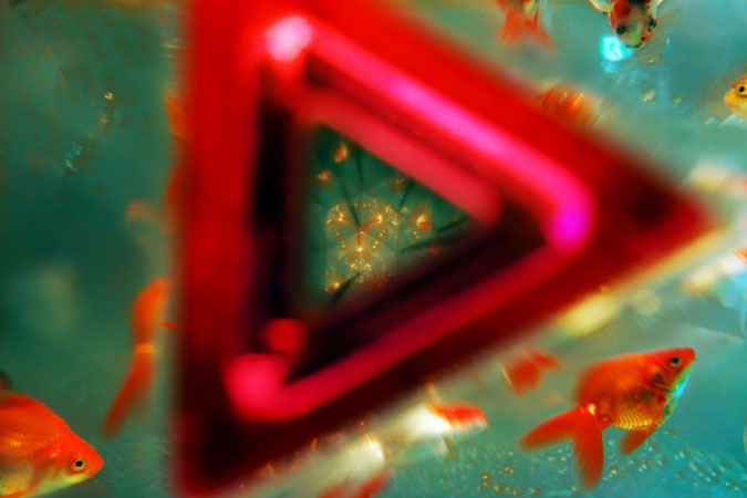 a0263109_19125524.jpg