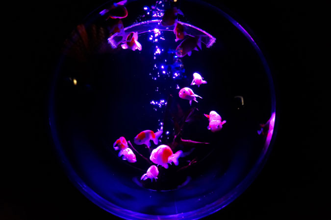 a0263109_19143941.jpg