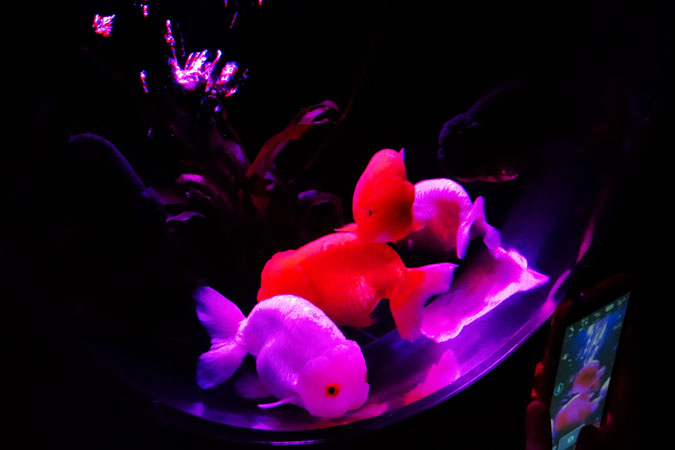 a0263109_19145771.jpg