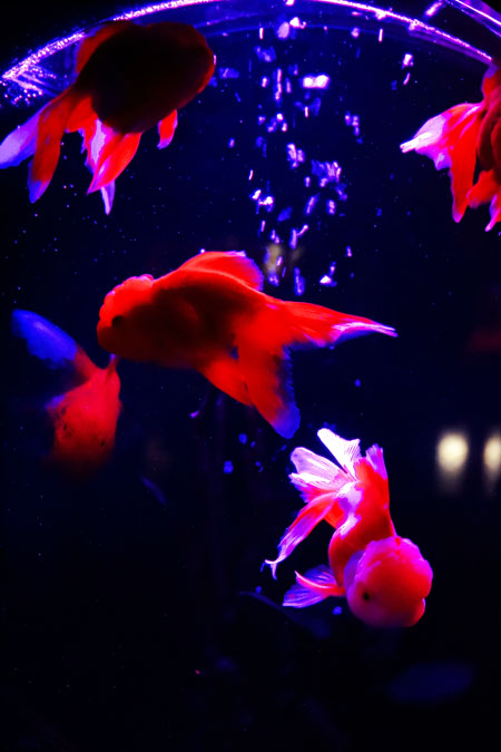 a0263109_1915627.jpg