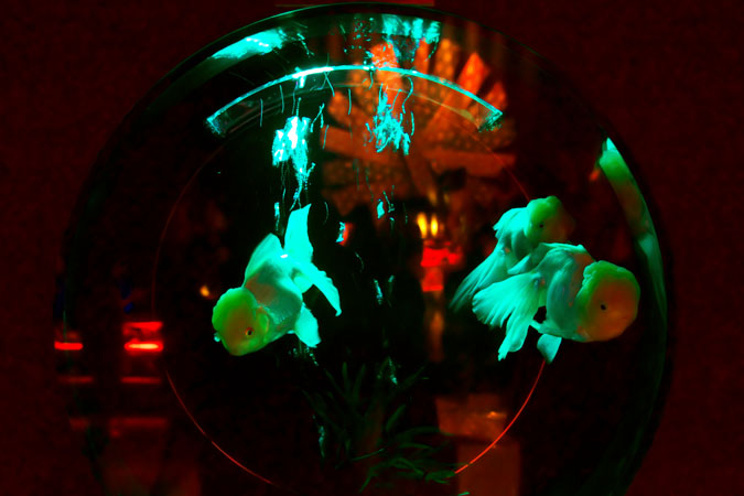 a0263109_1917324.jpg