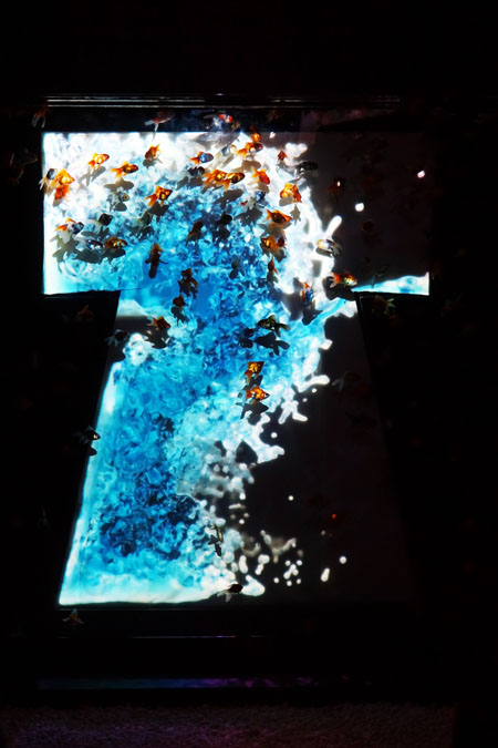 a0263109_19231320.jpg