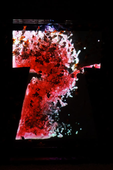 a0263109_19244683.jpg