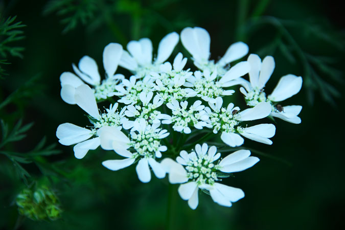 a0263109_20292036.jpg