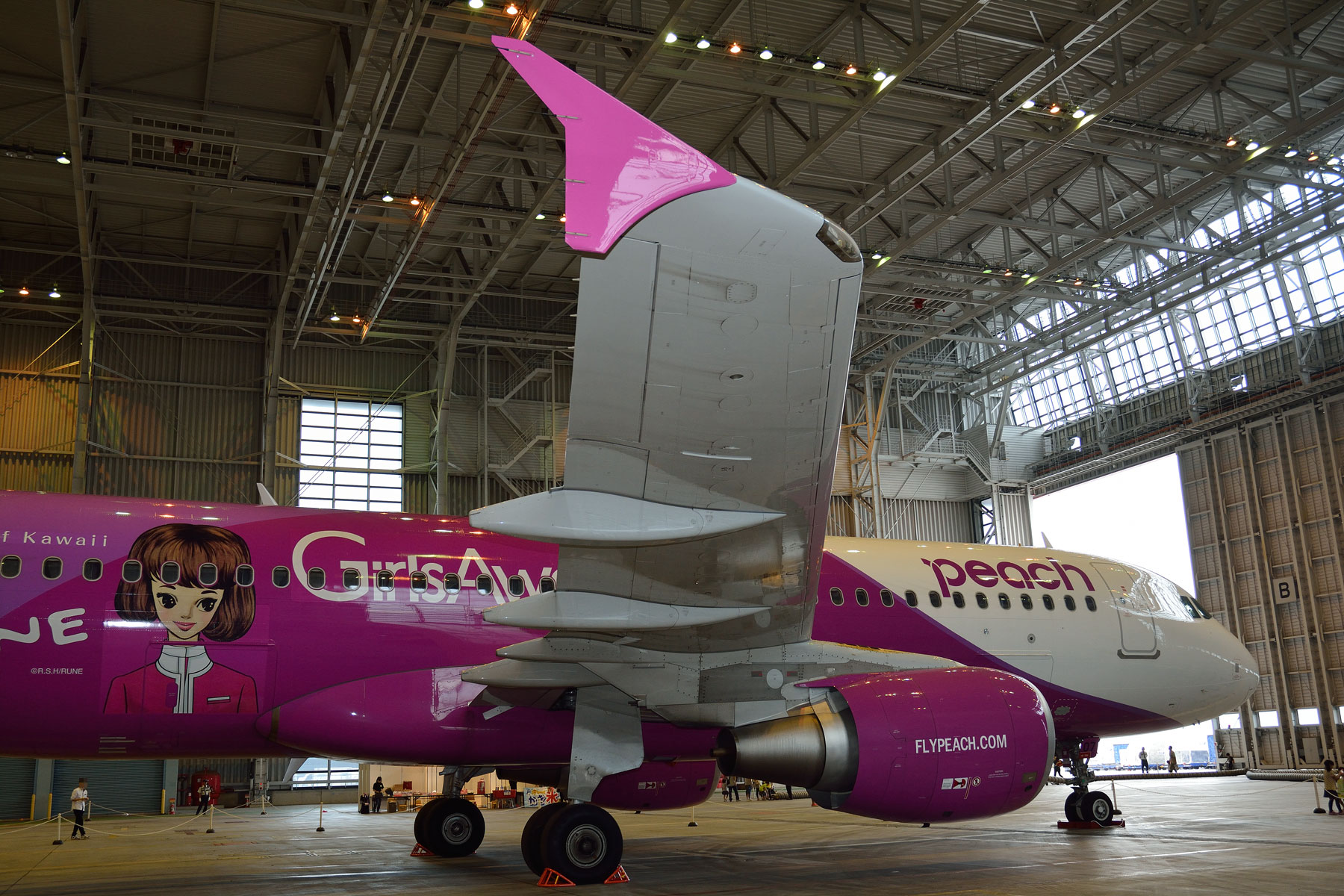 AIRBUS A320 / JA807P - peachの飛行機を見に行こう!! ①