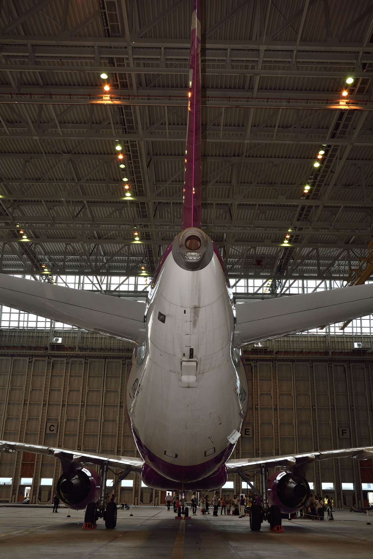 AIRBUS A320 / JA807P - peachの飛行機を見に行こう!! ②