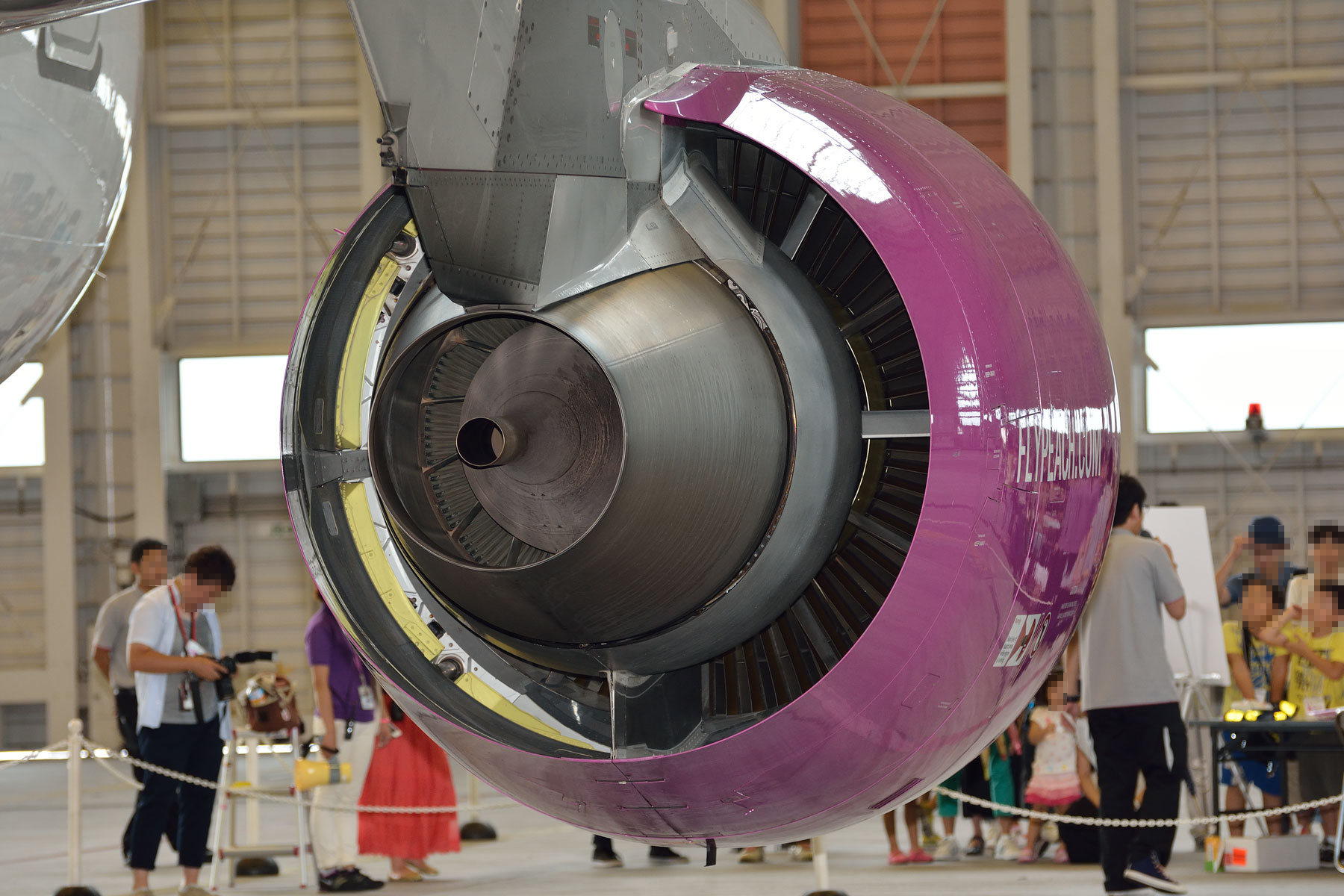 AIRBUS A320 / JA807P - peachの飛行機を見に行こう!! ②