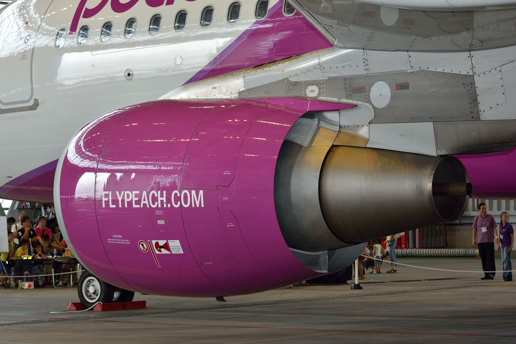 AIRBUS A320 / JA807P - peachの飛行機を見に行こう!! ② AIRBUS A320 / JA807P - peachの飛行機を見に行こう!! ②