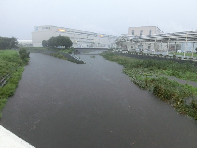 未明からの大雨と落雷 皆さんのところは大丈夫ですか?_f0141310_7243874.jpg