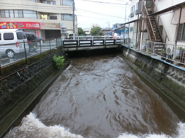 未明からの大雨と落雷 皆さんのところは大丈夫ですか?_f0141310_7244945.jpg