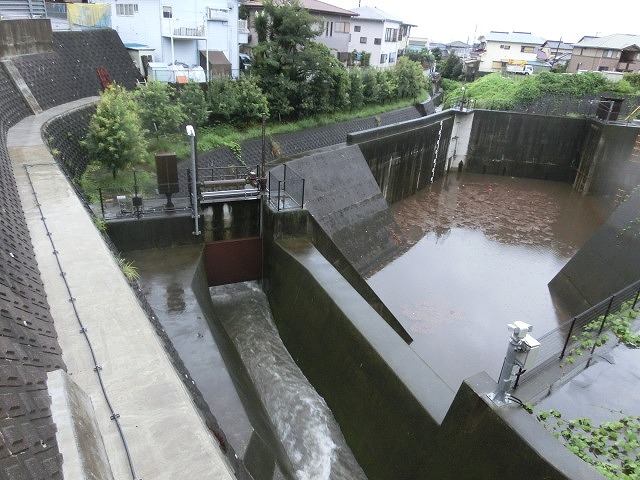 未明からの大雨と落雷 皆さんのところは大丈夫ですか?_f0141310_7252714.jpg