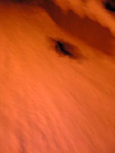 e0126914_2353971.jpg