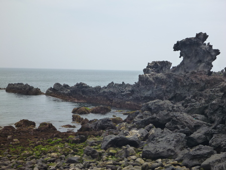 e0256814_11502951.jpg