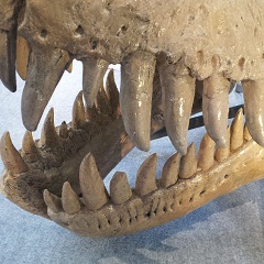 b0115215_10272957.jpg