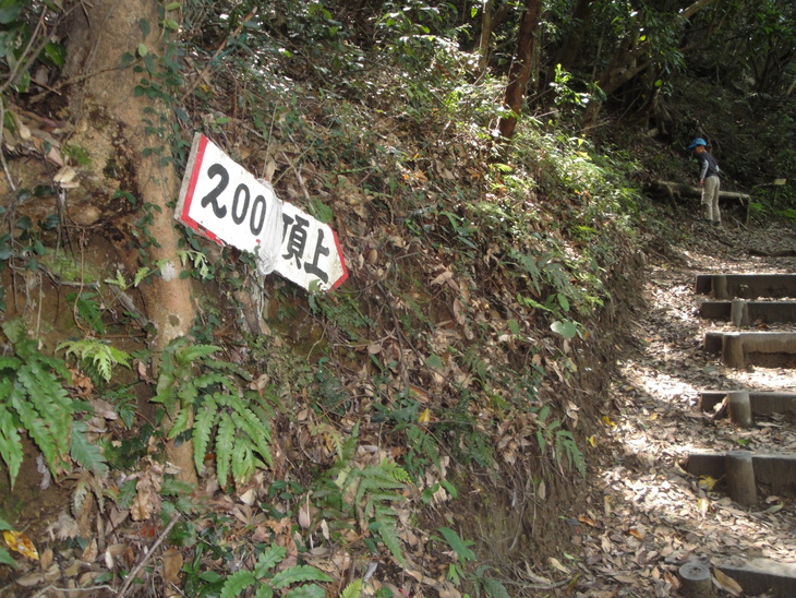 b0291016_19131782.jpg