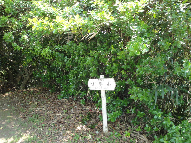 b0291016_19145852.jpg
