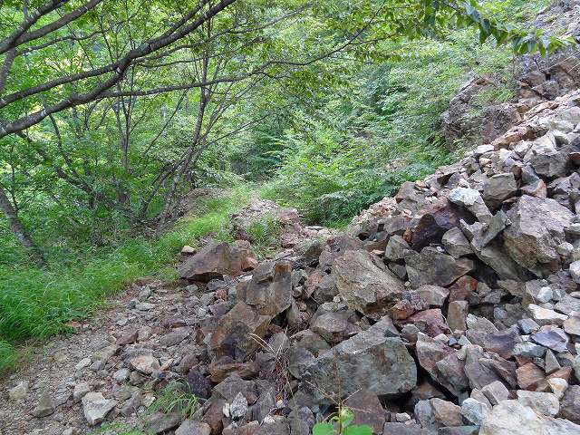 a0243317_1035051.jpg