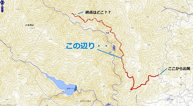 a0243317_8435221.jpg