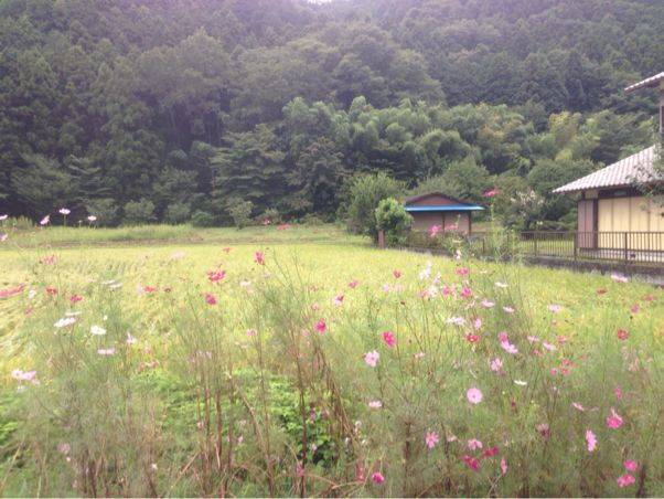 白石一本 ■26分10秒_c0208218_11452189.jpg